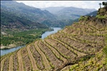 Douro valley